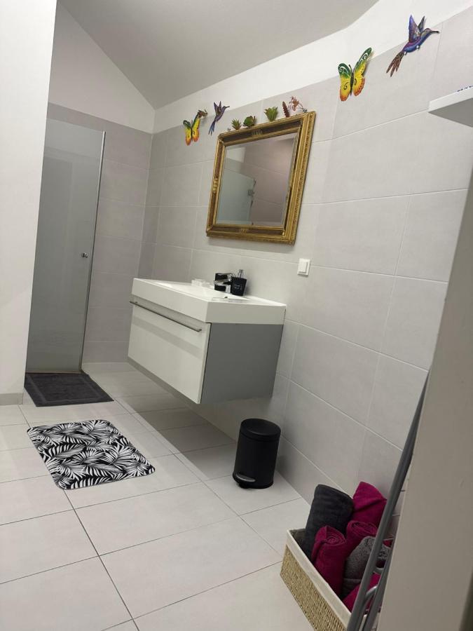 Klimatisiertes Dachgeschoss City Apartment In Zentrum Wiens Kültér fotó