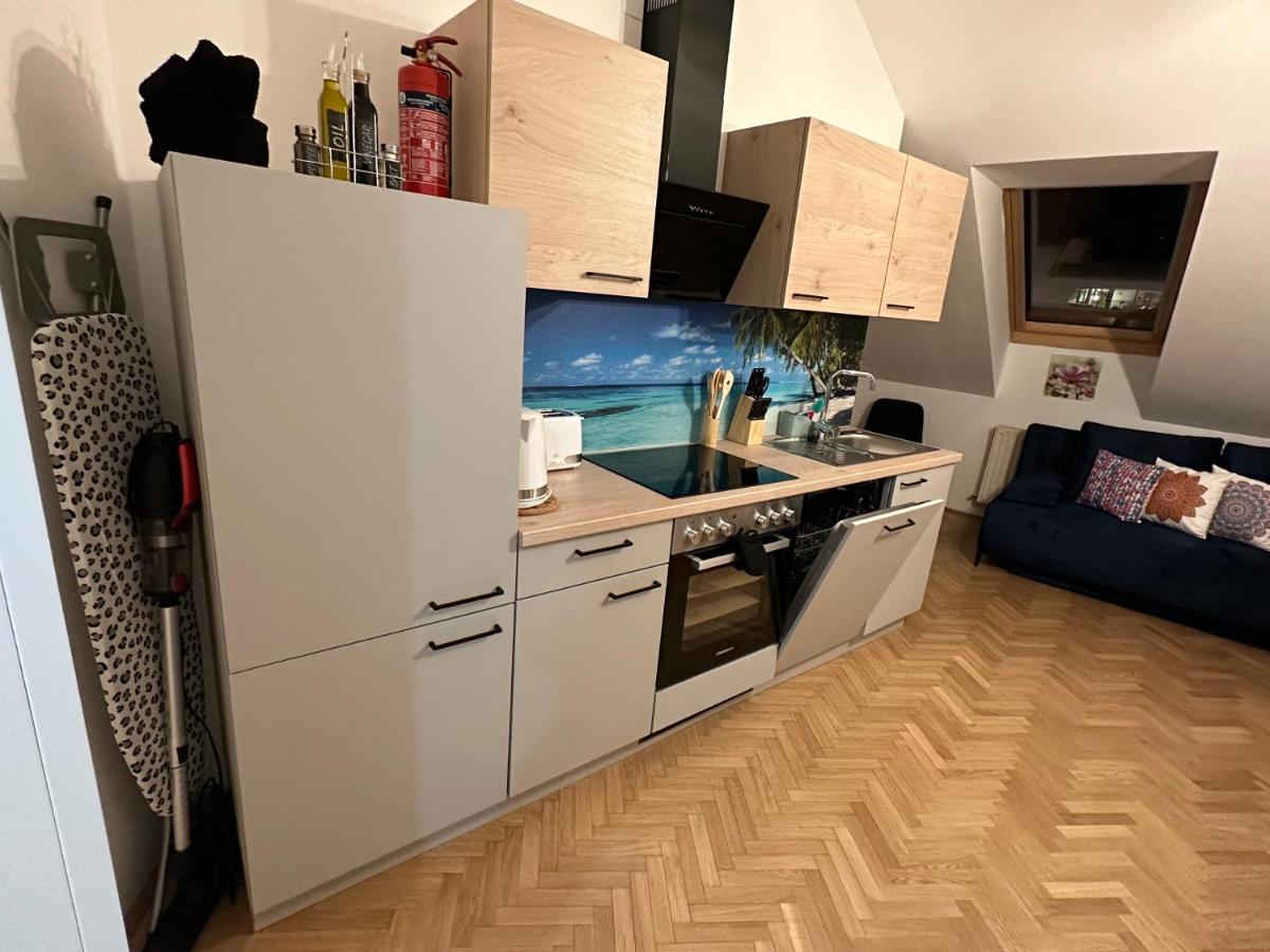 Klimatisiertes Dachgeschoss City Apartment In Zentrum Wiens Kültér fotó