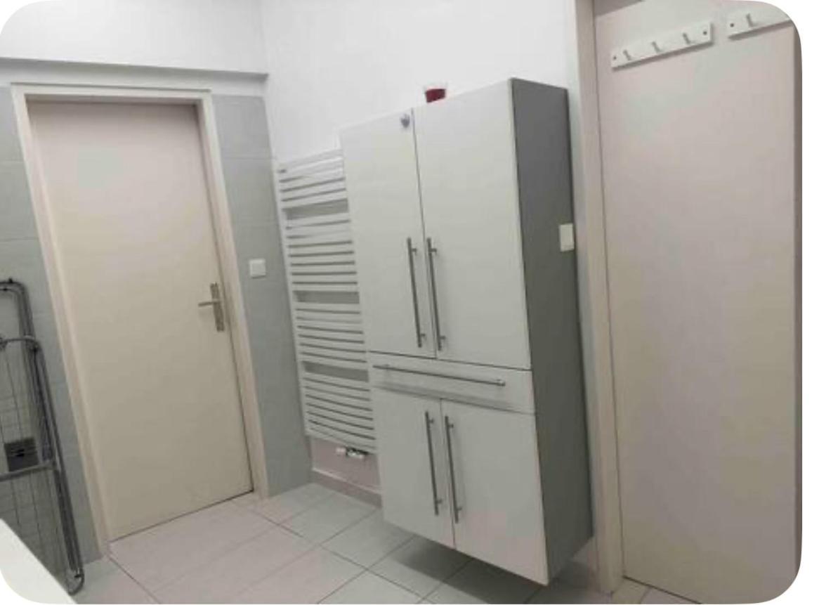 Klimatisiertes Dachgeschoss City Apartment In Zentrum Wiens Kültér fotó